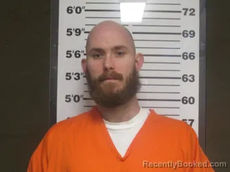 Mugshot of Ronnie Brittain