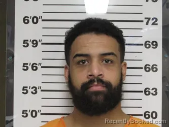 Mugshot of Tyler Wayne Golden booked in Bollinger County, Missouri on August 4, 2026