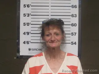 Mugshot of Tammy Moreland