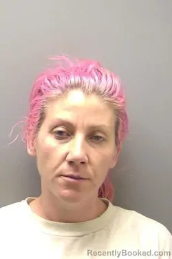 Mugshot of FELICIA DAWN MCLEAN