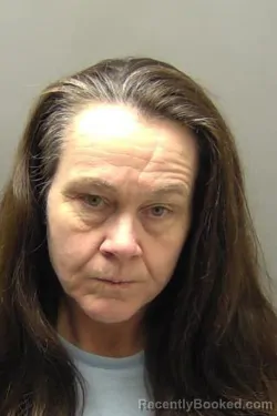 Mugshot of CANDY JO WILLIAMS