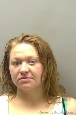 Mugshot of NANCY JOANN ARENA MCDONALD