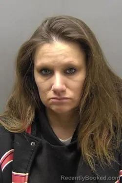 Mugshot of AMBER LYNN PUNZO