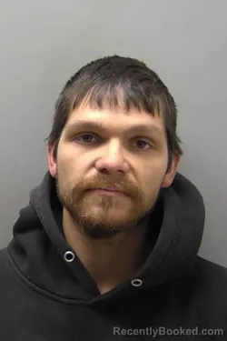 Mugshot of RYAN SCOTT WILSON