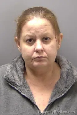 Mugshot of AMY MARIE DILLE