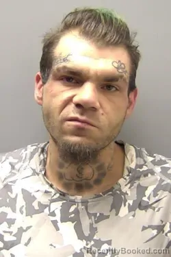 Mugshot of TOBY CHRISTOPHER HARTIG