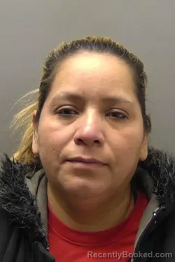 Mugshot of ALONZO GUVEVARA ANN VILMA