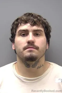 Mugshot of ETHAN WILLIAM STEVENSON