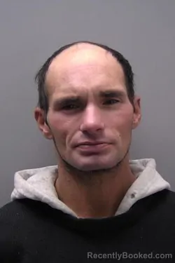 Mugshot of ROBERT C W LEESON