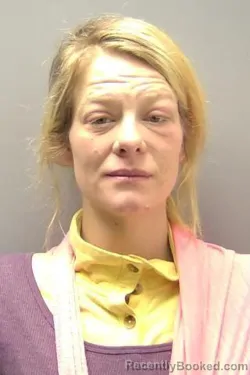 Mugshot of HOLLIE MARIE PEEK