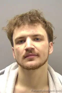 Mugshot of TAYLOR DEAN WILSON