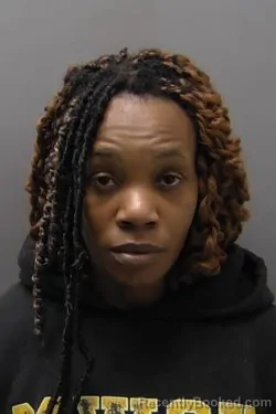 Mugshot of BARBARA SANDRIA FORD booked in Buchanan County, Missouri on April 24, 2026