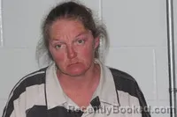 Mugshot of DANA R FRAZIER booked in Caldwell County, Missouri on April 17, 2026