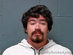 Mugshot of Austin Jay Puente booked in Callaway County, Missouri on June 13, 2026