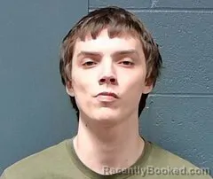 Mugshot of Daemon Cole Allison booked in Callaway County, Missouri on June 23, 2026