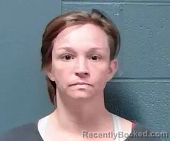 Mugshot of Sierra Danielle Arrilla Beasley booked in Callaway County, Missouri on July 30, 2026