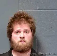 Mugshot of Logan Howard Luker