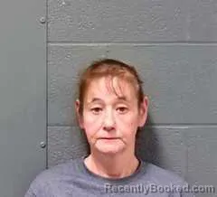Mugshot of Susan Lynn McMillin