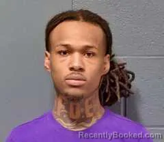 Mugshot of Niquerion Leveil Ousley