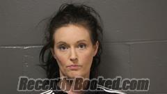 Booking photo from Camden County, Missouri