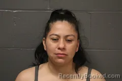 Mugshot of Bertha Alicia Buendia Adame