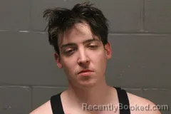 Booking photo from Camden County, Missouri