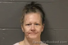 Mugshot of Chrystal Lynn Morrison