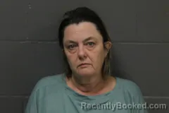 Mugshot of Melissa Lynn Briggs booked in Camden County, Missouri on March 16, 2026