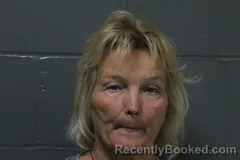 Mugshot of Karin Linn Brown booked in Camden County, Missouri on March 23, 2026