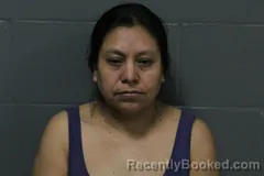 Mugshot of Olga Leticia Santos-gonzales booked in Camden County, Missouri on March 25, 2026