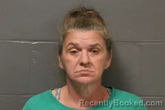 Mugshot of Tammy Michelle Schnieders booked in Camden County, Missouri on April 22, 2026