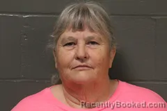 Mugshot of Jamie Denise Simmers booked in Camden County, Missouri on June 3, 2026