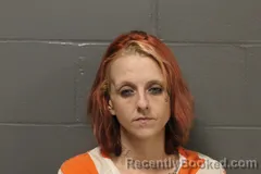 Mugshot of Destiny Raye Robertson booked in Camden County, Missouri on August 4, 2026