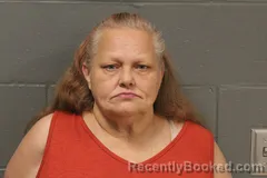 Mugshot of Shannon Marie Stevens booked in Camden County, Missouri on August 24, 2026