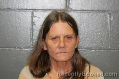 Mugshot of Helen Marie Nelson booked in Camden County, Missouri on October 27, 2026