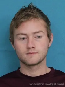 Mugshot of GARRETT LANDEWEE