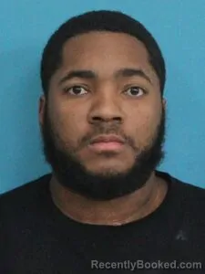 Mugshot of DAVID LOGAN