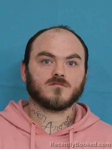 Mugshot of DARRIN TURBERVILLE