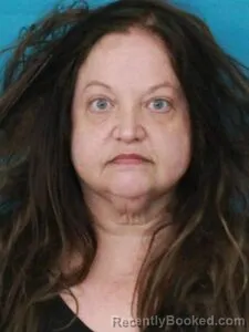 Mugshot of BRANDI VANAMBURG