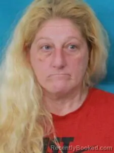 Mugshot of KAMI JAMES booked in Cape Girardeau County, Missouri on March 22, 2026