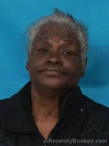 Mugshot of ANNA TURNER booked in Cape Girardeau County, Missouri on April 1, 2026