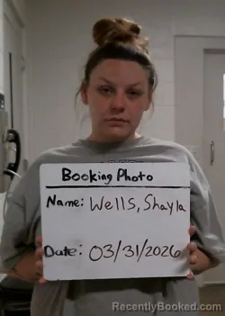 Mugshot of SHAYLA PAIGE WELLS booked in Carter County, Missouri on March 31, 2026