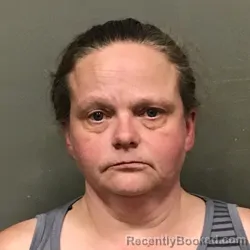 Mugshot of JESSICA DAWN HOLMAN