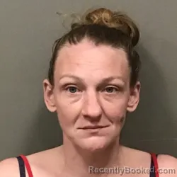 Mugshot of BRANDY NICOLE BIRDWELL