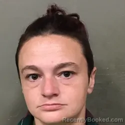 Mugshot of TONI MARIE MCCARTY booked in Wilkes County, North Carolina on April 2, 2026