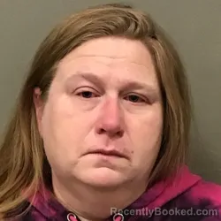 Booking photo from Wilkes County, North Carolina