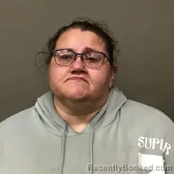 Mugshot of ASHLEY NICOLE HARRIS booked in Wilkes County, North Carolina on March 30, 2026