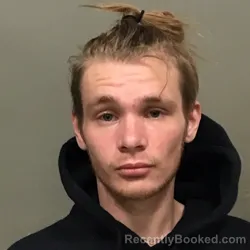 Mugshot of JASON LEE ANDERSON