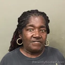 Mugshot of JANICE LAVERN JOHNSON booked in Wilkes County, North Carolina on May 13, 2026
