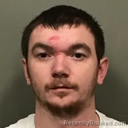 Mugshot of BRADLEY JAMES VIERS